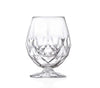RCR Cristalleria RCR ALKEMIST SPIRITS GOBLET 100x128mm 530ml (26975020006) (Set of 1)
