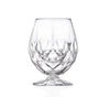 RCR Cristalleria RCR ALKEMIST SPIRITS GOBLET 100x128mm 530ml (26975020006) (Set of 1)