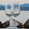RYNER GLASS-OPTIC UNIVERSAL, 550ml
