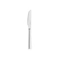 Fortessa  STILL DESSERT KNIFE-SOLID HANDLE   MIRROR FINISH (Doz)