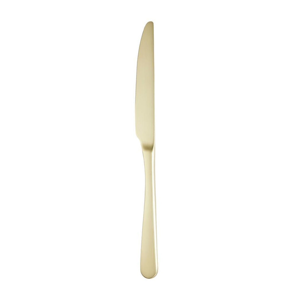 Amefa  AUSTIN TABLE KNIFE-CHAMPAGNE  (Doz)