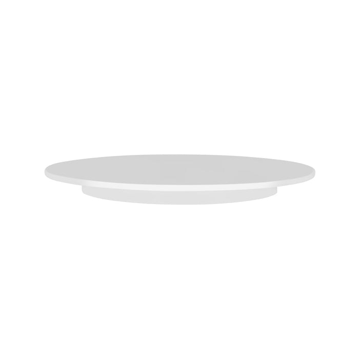 Thermohauser  CAKE PLATE-300mm SAN PLASTIC