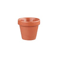 Churchill BIT ON THE SIDE PLANT POT-90mm Ø | 97mm H | 340ml  PAPRIKA (x12)
