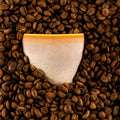 Brew -AUBURN CAPPUCCINO CUP 220ml (Set of 6)