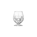 RCR Cristalleria RCR ALKEMIST SPIRITS GOBLET 100x128mm 530ml (26975020006) (Set of 1)