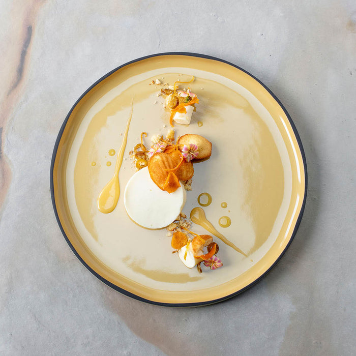 Revol  CARACTERE NUTMEG GOURMET PLATE 230x33mm EA