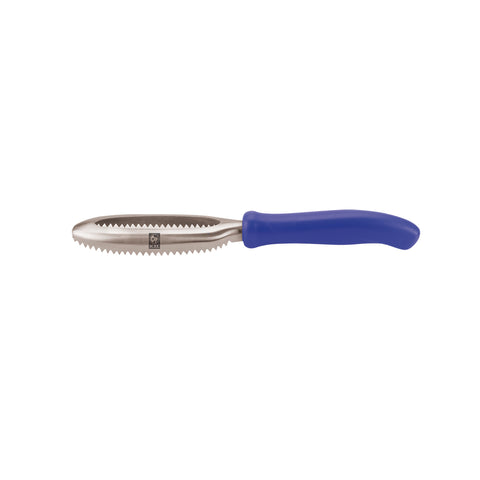 Icel GOURMET ACC. FISH SCALER-BLUE HANDLE (946.9627.27)  (Each)