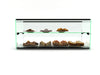 SAYL AMBIENT DISPLAY TWO TIER ADS0036 920 x 390 x 375 24kg